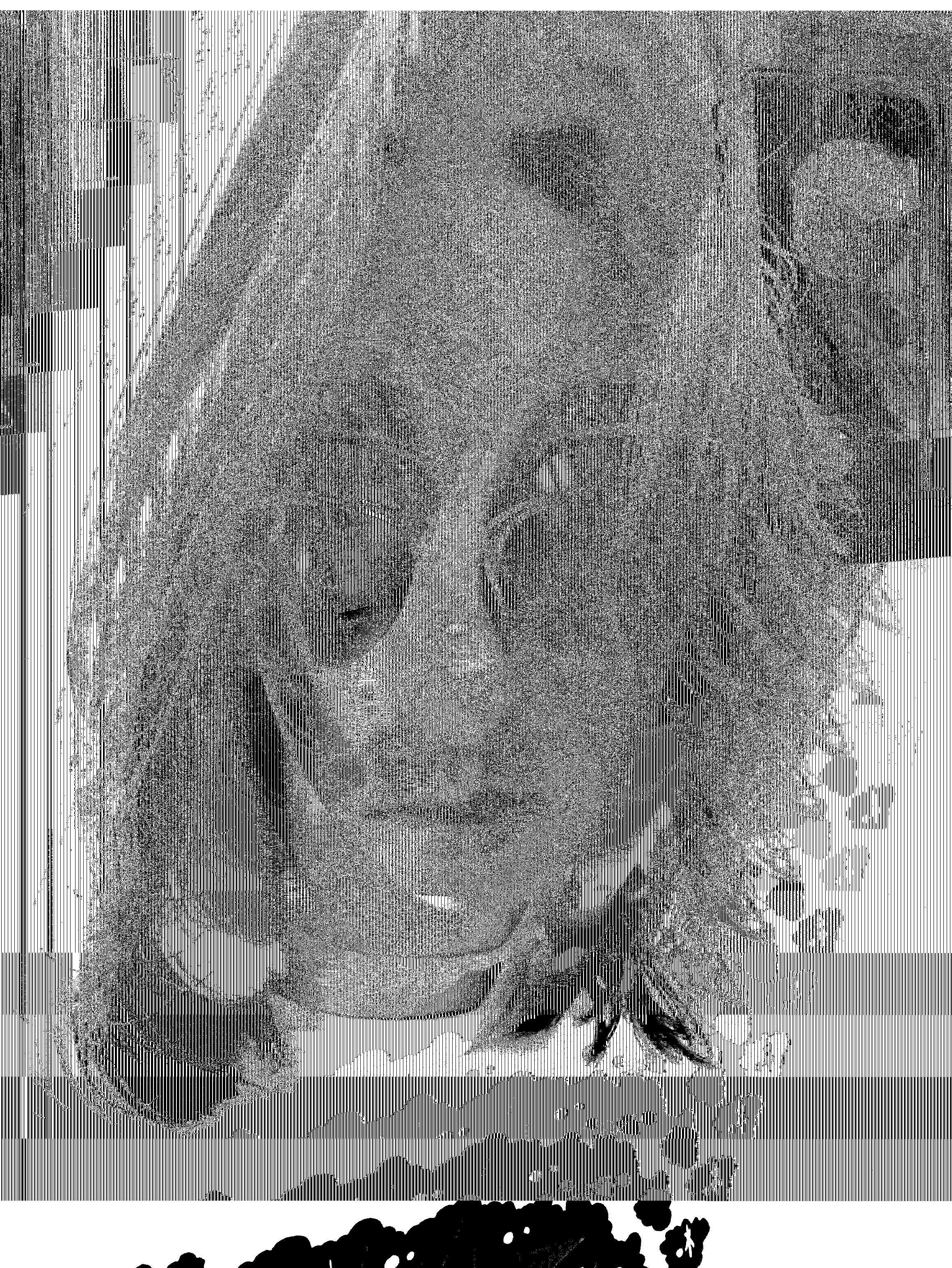 Alternative artwork 12