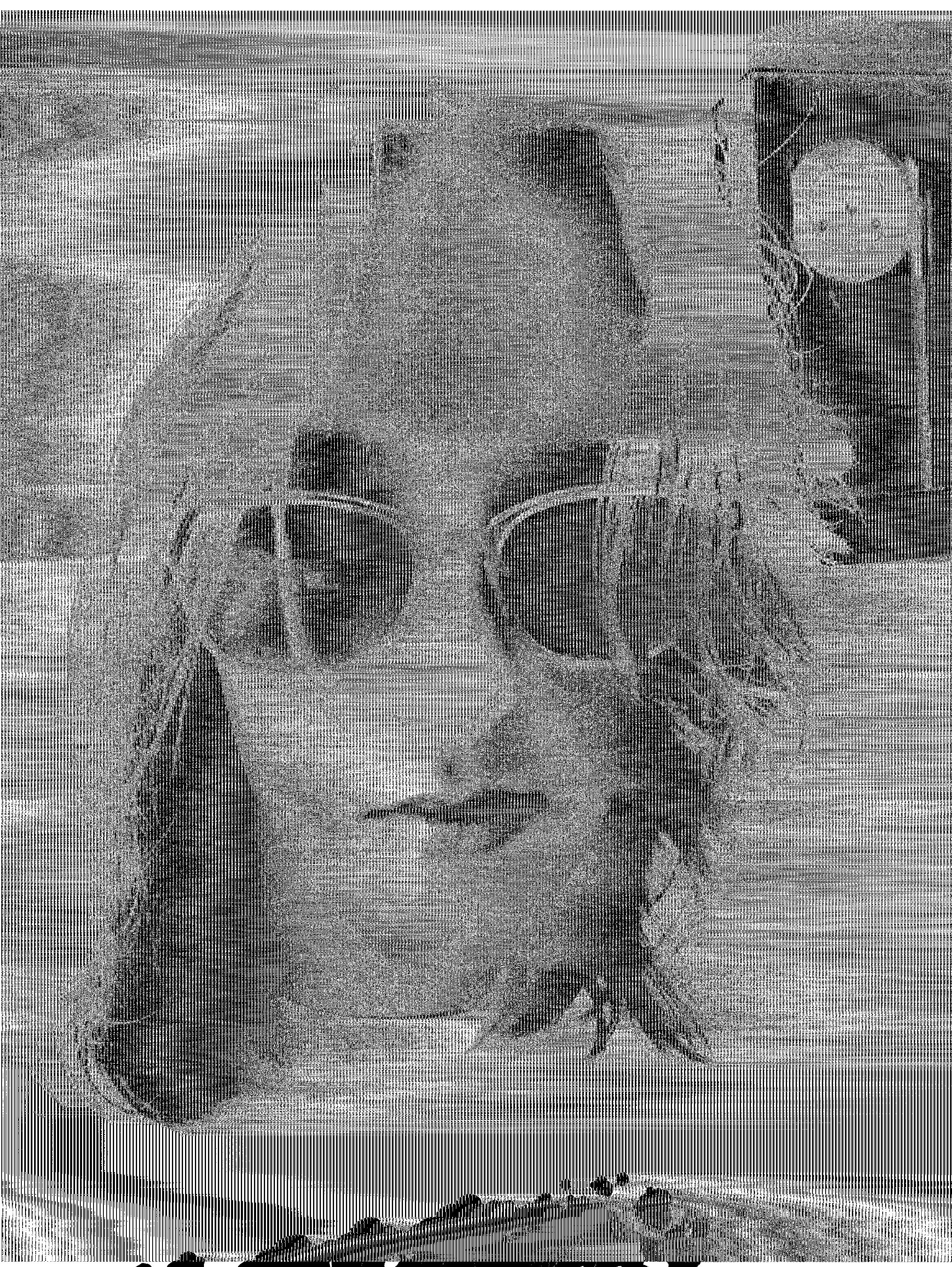 Alternative artwork 4